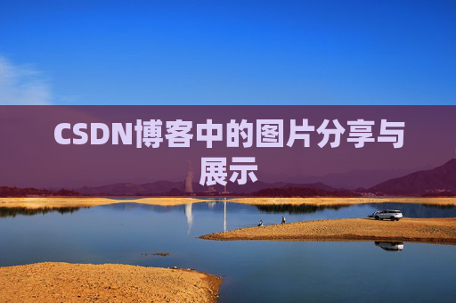 CSDN博客中的图片分享与展示